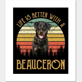 Vintage Life Is Better With A Beauceron Posters and Art